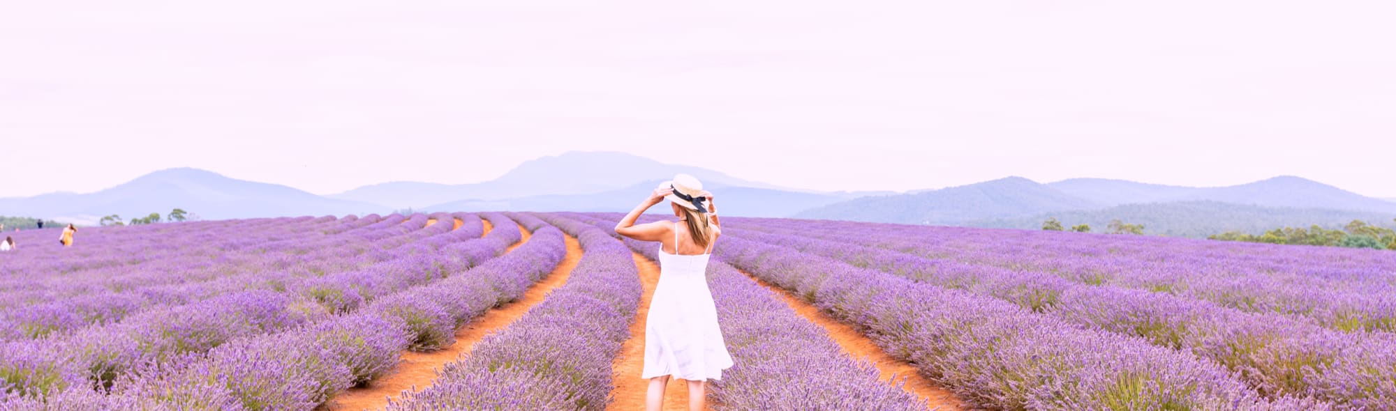 woman standing in a field of lavender flowers